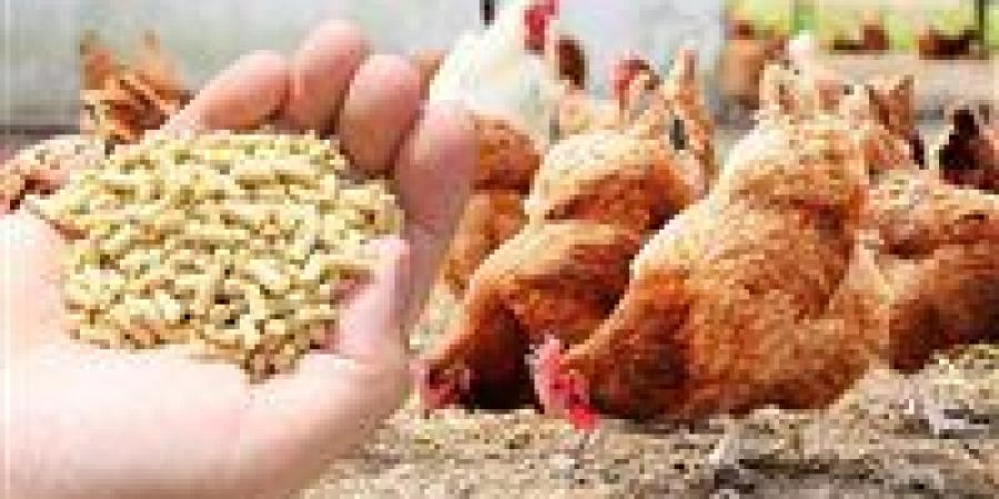 بالبلدي: أسوان..
      أسعار
      الأعلاف
      تُسجّل
      استقرارًا
      نسبيًا
      صباح
      22
      نوفمبر
      2025