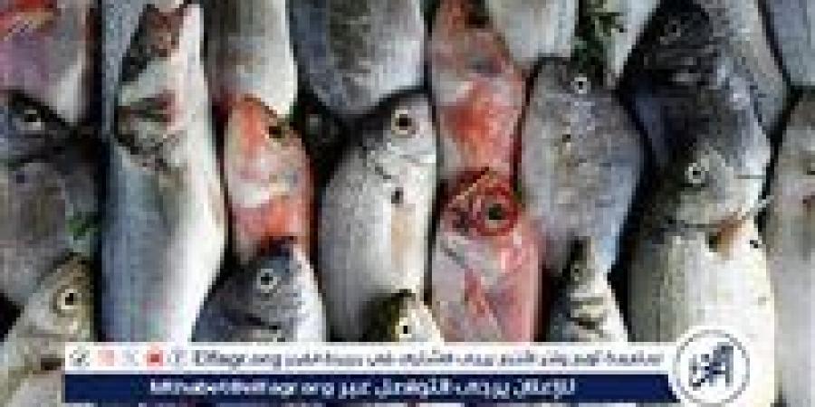 بالبلدي: تعرف
      على
      أسعار
      الأسماك
      اليوم
      الأحد
      الموافق
      23-11-2025
      فى
      سوهاج