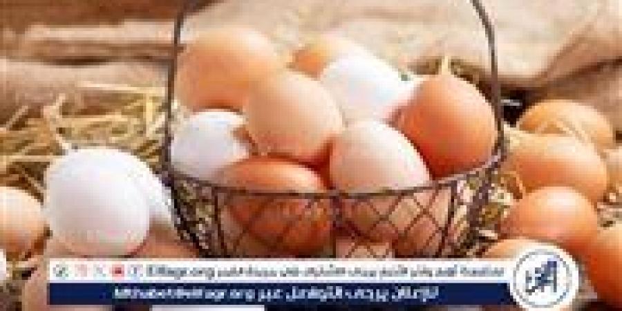 بالبلدي: سعر
      كرتونه
      البيض
      الأبيض
      اليوم
      الإثنين
      24
      نوفمبر
      للمستهلك
      فى
      محال
      واسواق
      المنيا