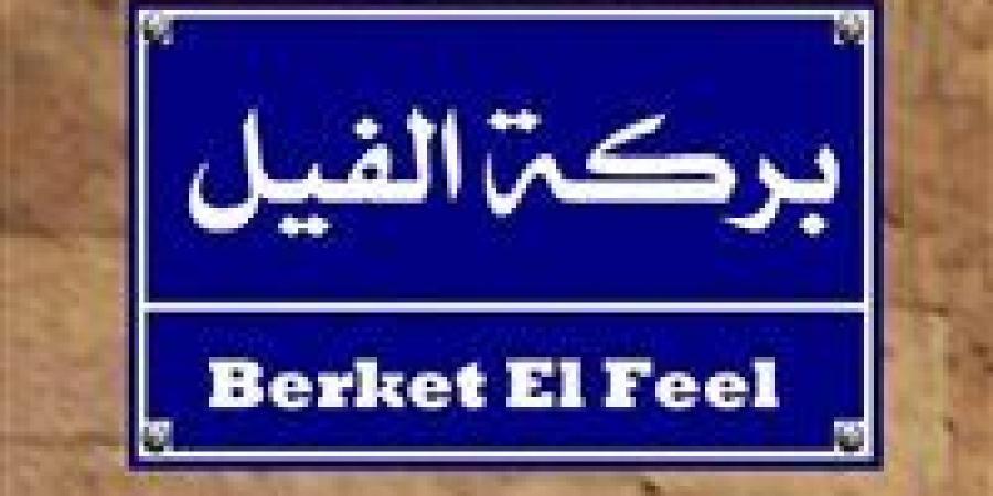 بالبلدي: حكاية
      بركة
      الفيل
      وسبب
      هذا
      الاسم!