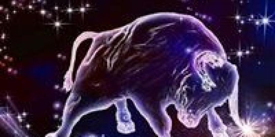 بالبلدي: برج
      الثور
      اليوم
      الاثنين
      -
      حظك
      اليوم
      في
      الحب
      والعمل
      |
      متتمسكش
      بالقديم