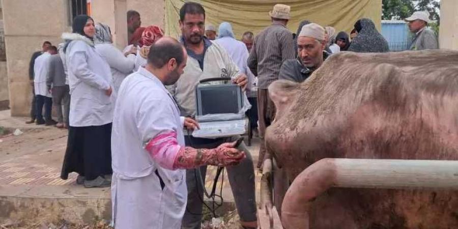 الزراعة:تكثّف
      جهود
      الرعاية
      التناسلية
      والتحسين
      الوراثي
      للماشية
      خلال
      مايو