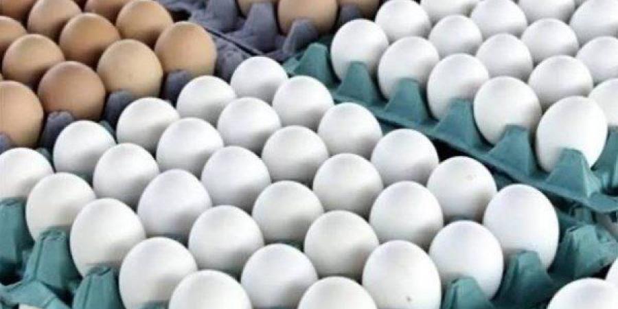 بالبلدي: قفزة
      في
      كرتونة
      البيض
      وهبوط
      الدواجن
      واللحوم
      الطازجة
      اليوم
      الأثنين
      15
      يونيو