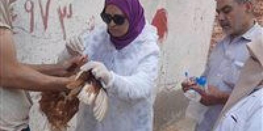 بالبلدي: مديرية
      الطب
      البيطري
      بدمياط
      تنفذ
      جولة
      ميدانية
      بمزارع
      الدواجن
      بفارسكور
      اليوم
      ميدانيا