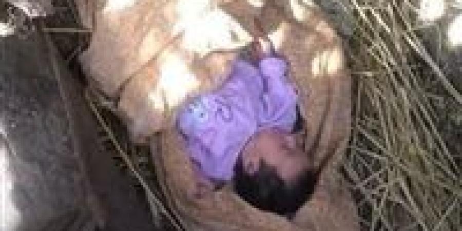 بالبلدي: تفاصيل
      العثور
      على
      طفلة
      حديثة
      الولادة
      بأراض
      زراعية
      ببسيون