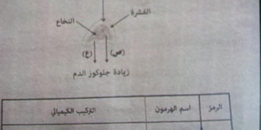 بالبلدي : حل
      امتحان
      احياء
      تالته
      ثانوي
      أزهر
      2026
      علمي
      ..
      الإجابات
      الكاملة