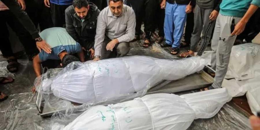 استشهاد
      فلسطينيين
      اثنين
      وإصابة
      7
      آخرين
      في
      غارة
      إسرائيلية
      على
      خيام
      للنازحين
      جنوب
      غزة