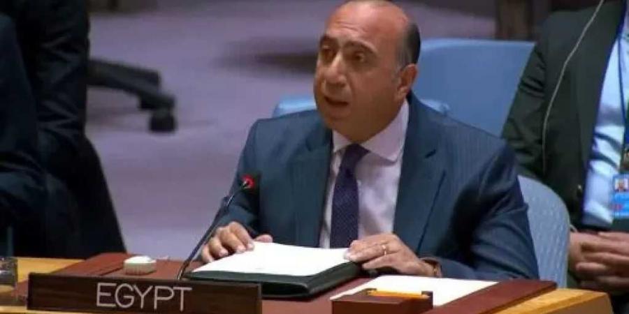 مندوب
      مصر
      بالأمم
      المتحدة:
      تصعيد
      الدعم
      السريع
      يعطل
      جهود
      الهدنة
      الإنسانية
      بالسودان