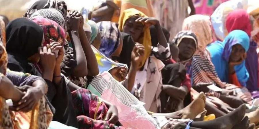 مفوضية
      الأمم
      المتحدة:
      العنف
      الجنسي
      يُستخدم
      كسلاح
      حرب
      في
      السودان
