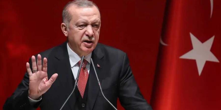 أردوغان:
      سنواصل
      العمل
      مع
      الدول
      الشقيقة
      لإرساء
      أمن
      واستقرار
      المنطقة