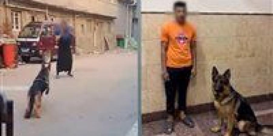 بالبلدي : الداخلية
      تضبط
      شخصًا
      حرّض
      كلبه
      على
      مهاجمة
      سيدة
      في
      البحيرة