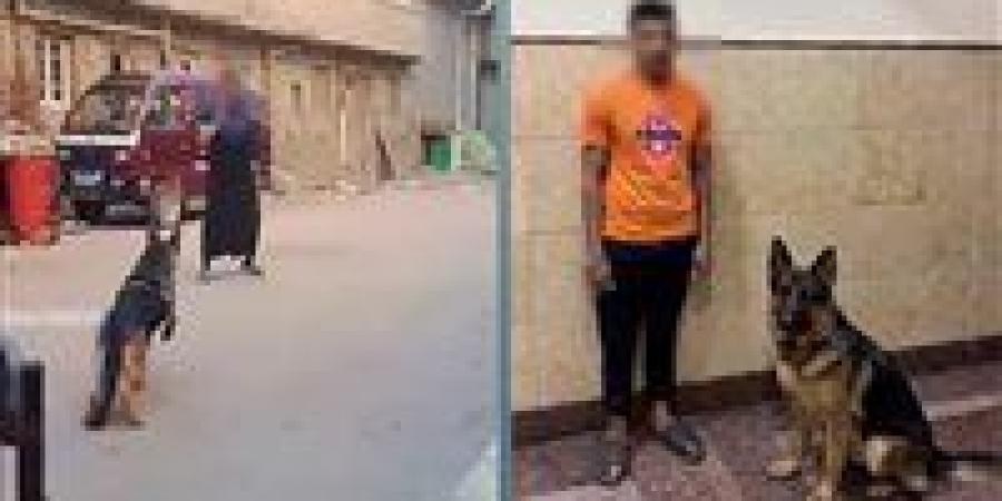 بالبلدي: ضبط
      عامل
      لدفعه
      الكلب
      الخاص
      به
      على
      مهاجمة
      سيدة
      بالبحيرة