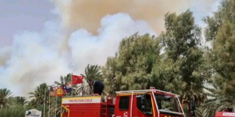 بالبلدي : واحة
      أوفوس
      تواجه
      موسم
      الحرائق
      من
      جديد..
      خسائر
      متكررة
      تعيد
      المطالبة
      باستراتيجية
      استباقية
      لحماية
      الواحات