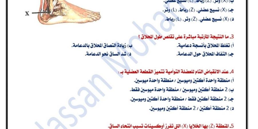بالبلدي : الثانوية
      العامة
      2026..
      حسن
      محرم
      ينشر
      نموذج
      إجابة
      امتحان
      مادة
      الأحياء
      كاملا