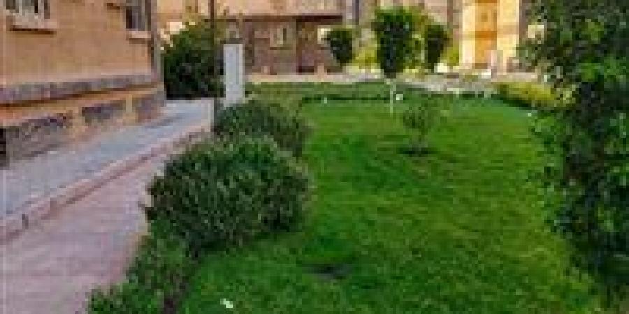 بالبلدي: وزيرة
      الإسكان
      تتابع
      تطوير
      الخدمات
      والمشروعات
      بمدينة
      حدائق
      أكتوبر
      وتسليم
      وحدات
      مشروع
      810
      عمارات