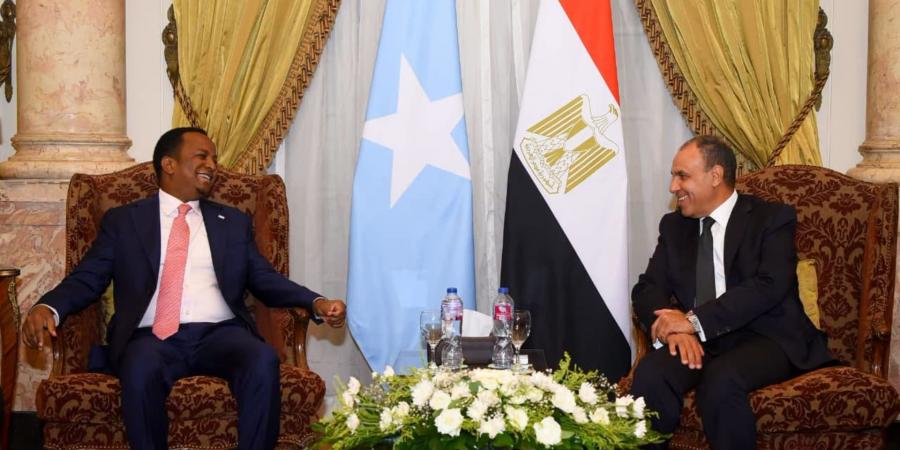 بالبلدي: تصريح جديد لوزير خارجية مصر عن أزمة البحارة المختطفين بالصومال.. ماذا قال؟