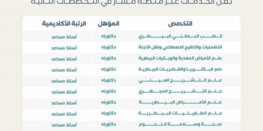 بالبلدي: جامعة
      الملك
      فيصل
      بالسعودية
      تعلن
      حاجتها
      إلى
      أعضاء
      هيئة
      التدريس..
      وظيفة
      جامعة
