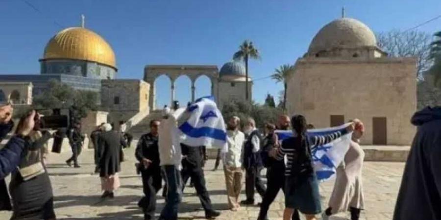 محافظة
      القدس:
      مستوطنون
      يخطون
      شعارا
      لجماعات
      متطرفة
      داخل
      المسجد
      الأقصى
