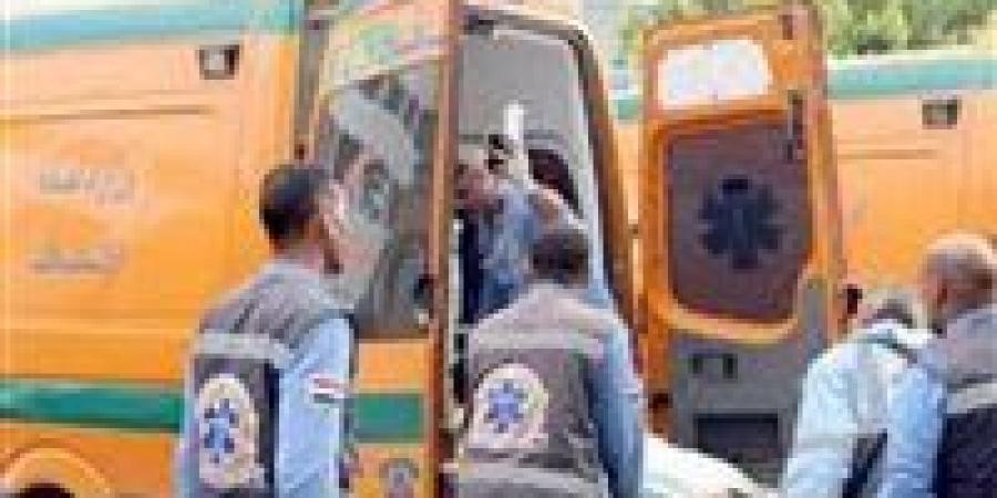 بالبلدي: أثناء
      زيارته
      لشقيقته..
      مصرع
      مسن
      سقط
      من
      الطابق
      الثالث
      بالمحلة