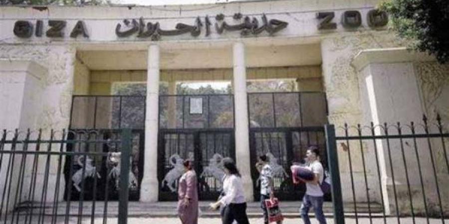 بالبلدي: موعد
      افتتاح
      حديقة
      الحيوان
      بالجيزة
      2026
      بعد
      التطوير
      الشامل