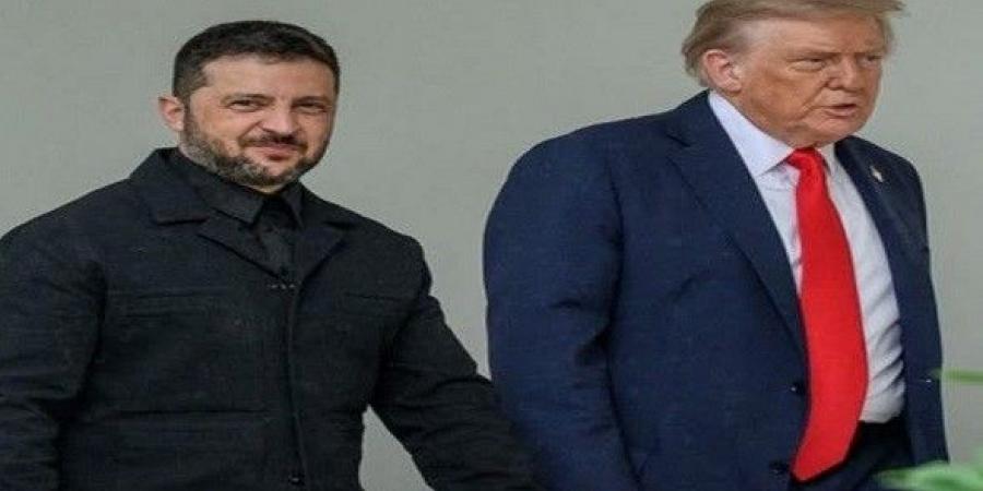 بالبلدي: ترامب
      يُعجب
      بأداء
      أوكرانيا
      العسكري
      ويعزز
      علاقته
      بزيلينسكي