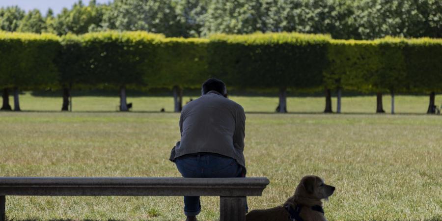 بالبلدي: لأصحاب القلب المكسور.. تجنبوا تناول هذه الأطعمة