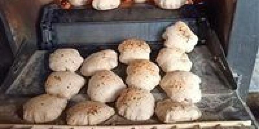 بالبلدي: هل
      تطبيق
      آلية
      الخصم
      المباشر
      يؤثر
      على
      رغيف
      الخبز
      المدعم؟..
      الغرف
      التجارية
      تجيب