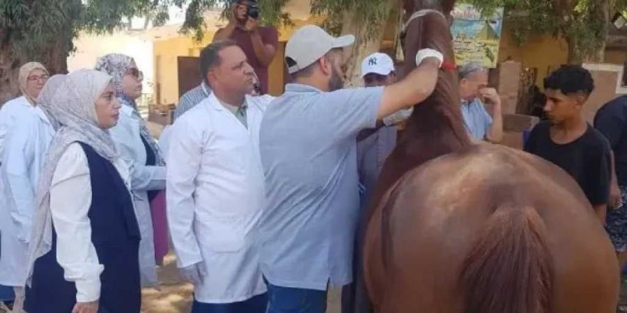 استعدادًا
      لبطولة
      العالم
      للفروسية..
      «الخدمات
      البيطرية»
      تبدأ
      ترقيم
      وتسجيل
      خيول
      الأهرامات
      بالشرائح
      الإلكترونية