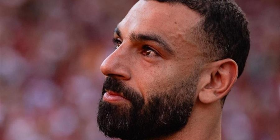 بالبلدي : أول
      طلب
      لـ
      محمد
      صلاح
      من
      ناديه
      الجديد..
      وموعد
      وصوله